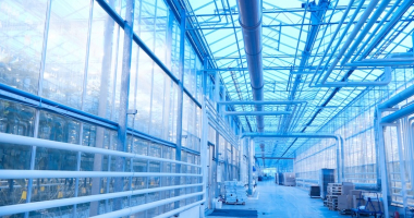 Energiebesparingsplicht in de glastuinbouw
